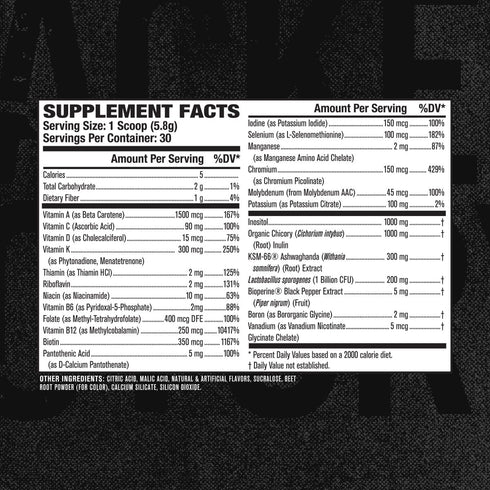 KSM-66 B6, B12, 30Sv Jacked Factory Vita XT Performance Vitamin Powder - Daily Multivitamin Powder for Men