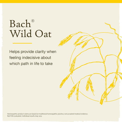 Bach Original Flower Remedies, Wild Oat for Deciding Life's Path (Non-Alcohol Formula), Natural Homeopathic Flower Essence, Holistic Wellness and Stress Relief, Vegan, 10mL Dropper