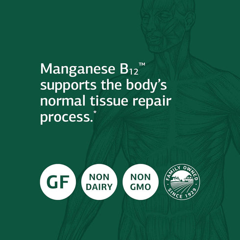 Standard Process Manganese B12, Whole Food Hemoglobin and Antioxidant with Manganese, 90 Tablets