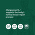 Standard Process Manganese B12, Whole Food Hemoglobin and Antioxidant with Manganese, 90 Tablets