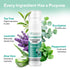 Lavinso Athletes Foot Care Spray with Tea Tree Oil Shoe Deodorizer & Foot Odor Eliminator for Smelly Feet Deodorant