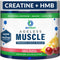 BioTrust Ageless Muscle Builder - Creatine HMB Powder with Vitamin D3 & Betaine, 30 Servings