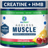 BioTrust Ageless Muscle Builder - Creatine HMB Powder with Vitamin D3 & Betaine, 30 Servings