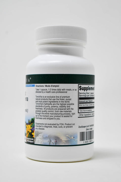 Terravita 450 (100 518609) Wild Oat Straw (Avena Sativa) (Certified Organic) - mg Capsules, ZIN: