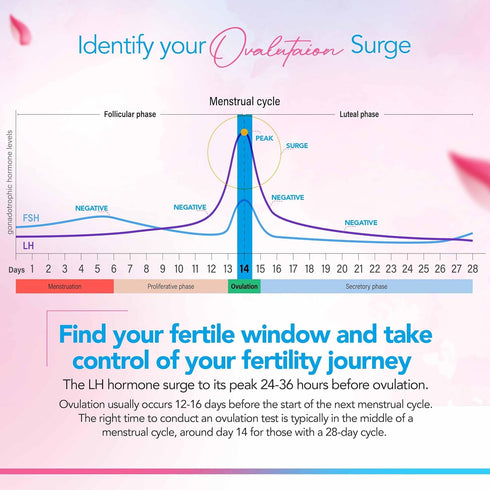 Pack 5 5 Clinical Guard of Ovulation Test Strips - Accurate Measurement Within min - Ovulation Tests Cost-Effective