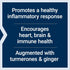 Life Extension Advanced Curcumin Elite Turmeric Extract - Ginger & Turmerones for Healthy Inflammatory & Immune