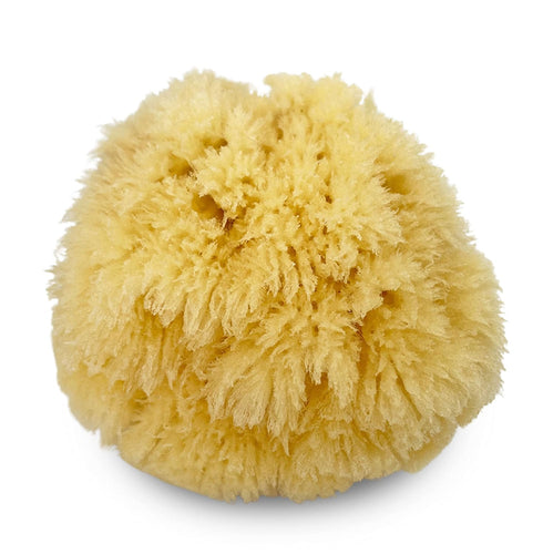 Real Natural Sea Sponges Multipack, 5pc Spa Gift Set for Bath Shower Facial Cleansing