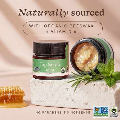 USDA Organic Lip Scrub Mint - Natural Ingredients for Moisturizing & Exfoliating Dry Lips - Small Beauty Gift