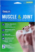 Great Lakes Wholesale 8070790155 2Ct Heat Pain Patch Health Products