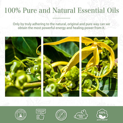 100ML Ylang Ylang Essential Oil - Premium Oils for Diffuser, Humidifier, 3.38fl.oz for Soap, Candle Making