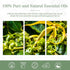100ML Ylang Ylang Essential Oil - Premium Oils for Diffuser, Humidifier, 3.38fl.oz for Soap, Candle Making