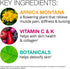 VitaMedica Arnica Filler Kit Bundle - Arnica Montana 30X Blister Pack + Arnica & Vitamin K Topical Cream
