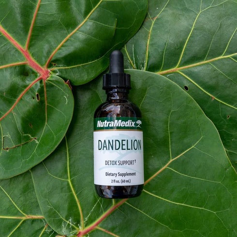 NutraMedix Dandelion Detox Support - 60ml Tincture for Liver & Gut Health, Antioxidant Support, Daily Use Supplement