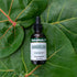 NutraMedix Dandelion Detox Support - 60ml Tincture for Liver & Gut Health, Antioxidant Support, Daily Use Supplement