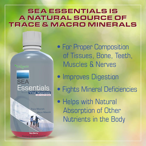 Wellgenix Sea Essentials Coral Calcium Liquid Vitamin for High Absorption - Nutritional Multivitamin Supplement - Sea