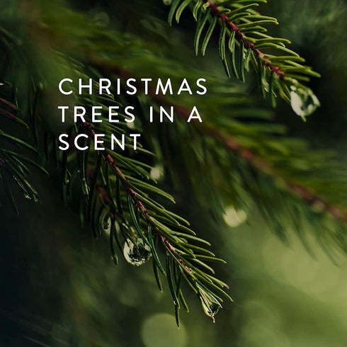 Thymes Frasier Fir Electric Oil Diffuser Refill, Home Fragrance Oil for Use with Electric Aromatherapy Diffusers, 0.25
