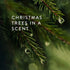 Thymes Frasier Fir Electric Oil Diffuser Refill, Home Fragrance Oil for Use with Electric Aromatherapy Diffusers, 0.25