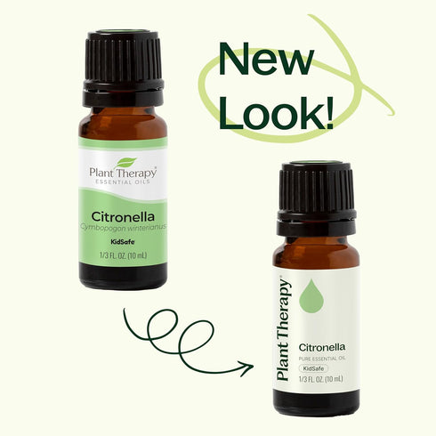 Plant Therapy Citronella Essential Oil, 100 mL (3.3 oz), 100% Pure