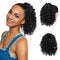 PEACOCO Curly Ponytail Extension - 10 Inch Drawstring Ponytail for Black Women, Clip on Synthetic Short Afro Hairpiece