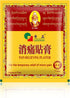 Cheezheng Pain Relieving Plaster, 5 Patches