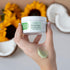 Plant Therapy Healing Balm 4 oz, 100% Pure & Natural, Soothing Ingredients: Shea Butter, Tamanu Oil, Calendula