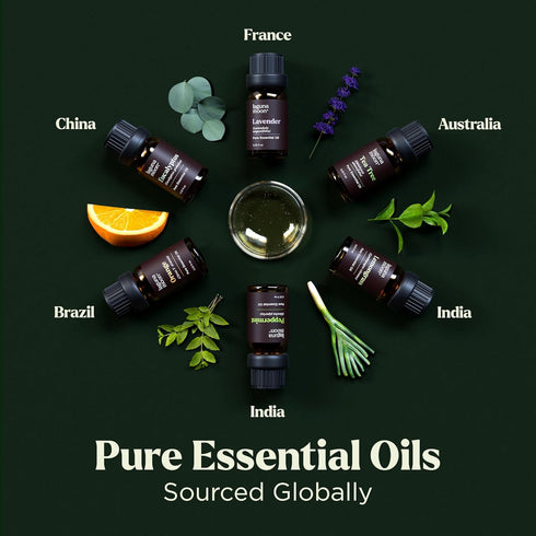 Essential Oils Set - Top 6 Blends for Diffusers, Aromatherapy, Candle Making, Home Care, Gifts - 10mL Peppermint, Tea
