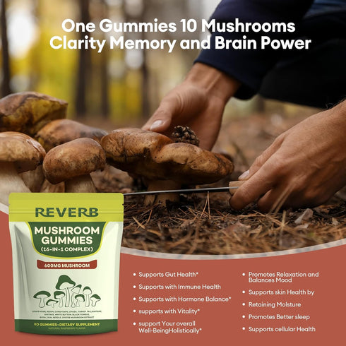 REVERB Gummies 16-In-1 Gummies 0g (60) Mushroom Mushroom Blend With Ashwagandha For Brain Health,Cognitive, Memory