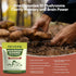 REVERB Gummies 16-In-1 Gummies 0g (60) Mushroom Mushroom Blend With Ashwagandha For Brain Health,Cognitive, Memory