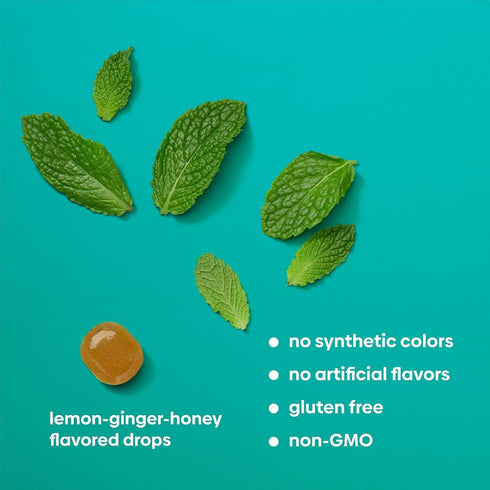 UpSpring Stomach Settle Drops - Occasional Nausea Relief with Ginger, Lemon, Spearmint, B6, Mint Flavor, 28 Ct