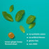 UpSpring Stomach Settle Drops - Occasional Nausea Relief with Ginger, Lemon, Spearmint, B6, Mint Flavor, 28 Ct