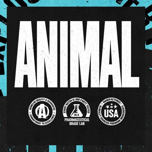 Animal Juiced Amino Acids - BCAA/EAA Matrix Plus Hydration with Electrolytes, Sea Salt, Fruit Punch Flavor, 30 Servings