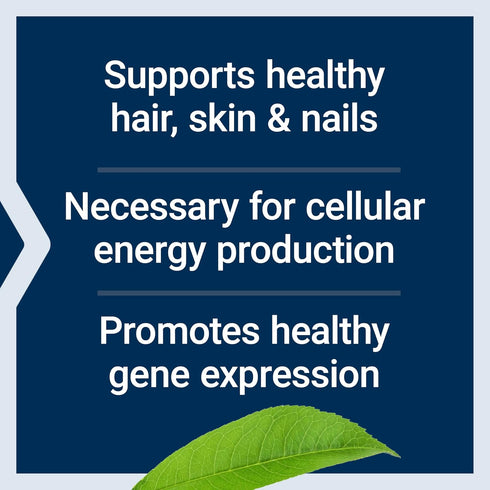 Life Extension Biotin 600 mcg Vitamin B7 Support Supplement for Beautiful Hair, Nails & Beyond – 100 Capsules