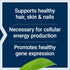 Life Extension Biotin 600 mcg Vitamin B7 Support Supplement for Beautiful Hair, Nails & Beyond – 100 Capsules