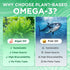 Omega-3 Gummies 1000mg, 3 600mg 300mg 60 Count Vegan Omega Fish Oil Alternative for Adults, Algae-Based DHA & EPA +