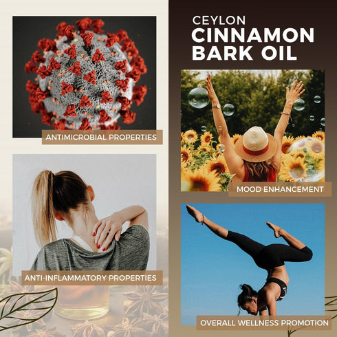 PRESERVE Ceylon Cinnamon Bark Essential Oil, 100% Pure Natural, Undiluted, Therapeutic Grade, 10ml/0.34oz for