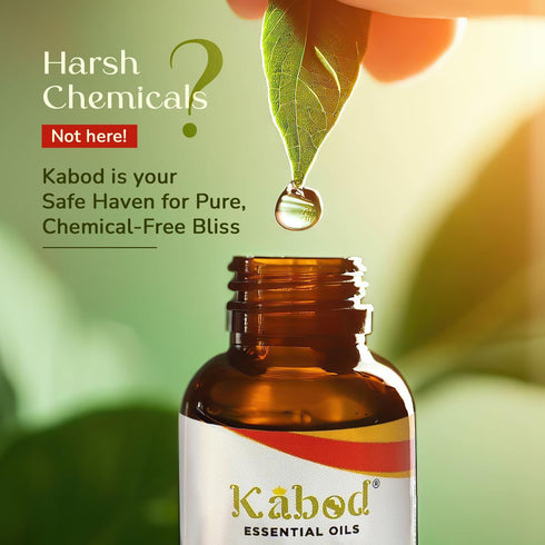 Kabod Eucalyptus Essential Oil, Aromatherapy Blend for Diffusers, Humidifiers, Soap, Candles, 10ML Bottle with Dropper.