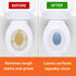 Amazon Basics Toilet Bowl Cleaner Cling Action Formula with Bleach, Fresh Scent, 24 Fl Oz, 2 Pack