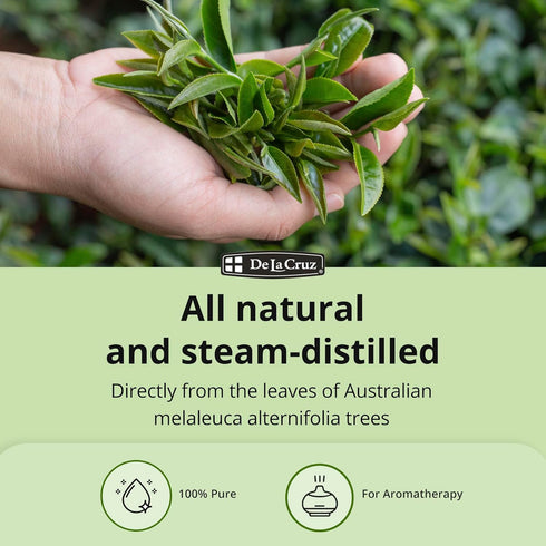 De La Cruz 100% Pure Tea Tree Essential Oil, Steam Distilled for Aromatherapy, 1 FL OZ (30 mL)