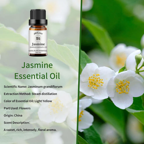 yethious Organic Jasmine Lavender Essential Oil Set for Diffuser & Aromatherapy
