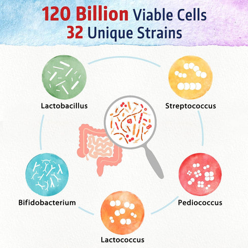 Bonawell Probiotics 120 Billion CFU, 32 Strains with Prebiotics, Digestive Enzymes for Gut Health, 30 Veggie Caps