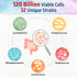 Bonawell Probiotics 120 Billion CFU, 32 Strains with Prebiotics, Digestive Enzymes for Gut Health, 30 Veggie Caps