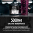 Creatine + Glutamine Supplement for Muscle Recovery & Growth, 30 Servings, Unflavored