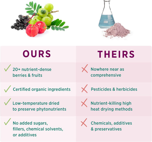 PURE SYNERGY Berry Power, Organic Berry and Fruit Powder, Antioxidant Supplement with Acai, Camu Camu, Wild Blueberry