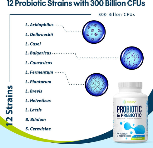 Probiotics for Women and Men, 300 Billion CFU from 12 Strains, 60 Capsules for Gut & Immune Health