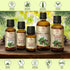 Fir Needle Essential Oil 3.4 Fl Oz - 100% Pure & Natural for Home Fragrances