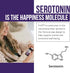 Organic 5-HTP 200 mg with Vitamin B6 & Lion’s Mane, 60 Capsules, Supports Mood, Cognition & Sleep