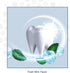 Pack 3 PRO-SYS Mint Fluoride Toothpaste Gel, ADA Approved, Prevents Cavities, Gingivitis, and Plaque
