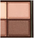 Rich Brown Excel Tokyo Shadow