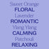 Plant Therapy Sensual Essential Oil Blend, 100% Pure, Pre-Diluted Roll-On, 10 mL (1/3 oz), Natural Aromatherapy