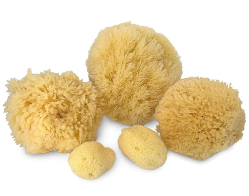 Real Natural Sea Sponges Multipack, 5pc Spa Gift Set for Bath Shower Facial Cleansing